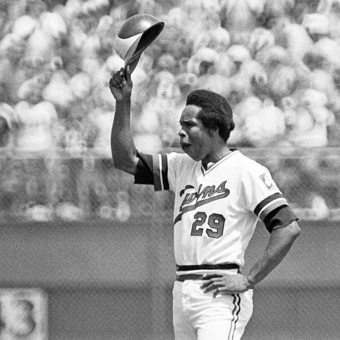 Rod Carew Jersey Day, 1977
